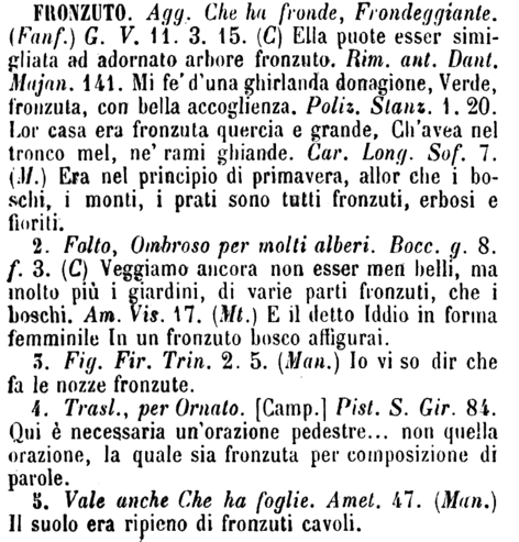 fronzuto