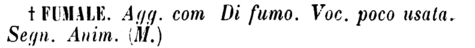 fumale-50391