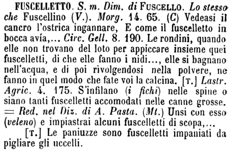 fuscelletto