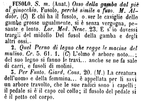 fusolo