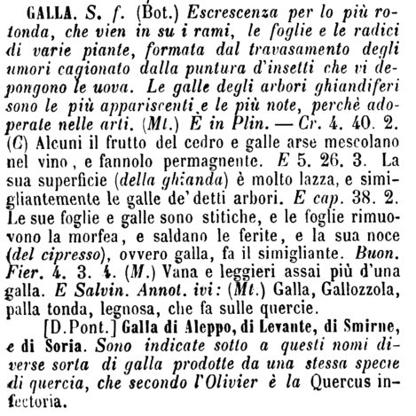 galla-50897