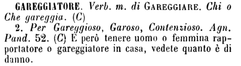 gareggiatore