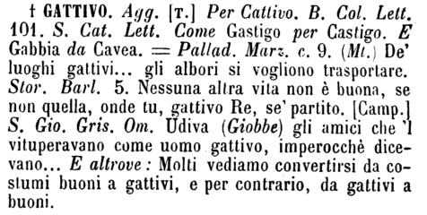gattivo