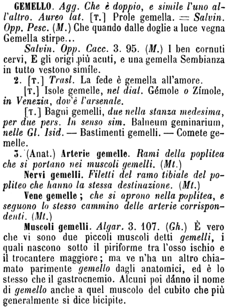 gemello