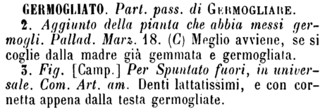 germogliato