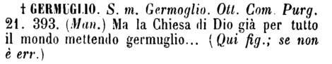 germuglio