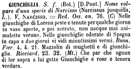 giunchiglia