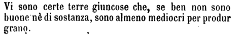 giuncoso