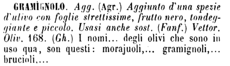 gramignolo
