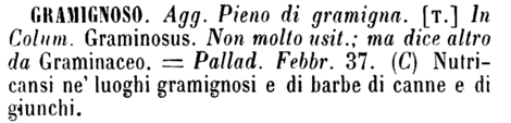 gramignoso