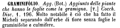 graminifolio