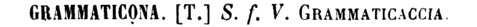 grammaticona