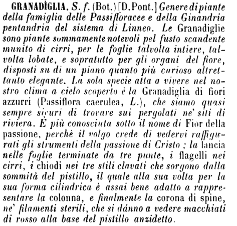 granadiglia