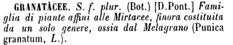 granatacee