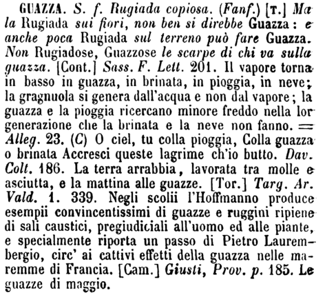 guazza