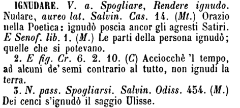 ignudare