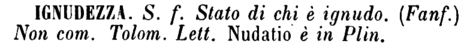 ignudezza