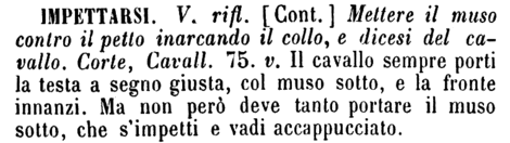 impettarsi