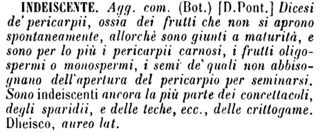 indeiscente