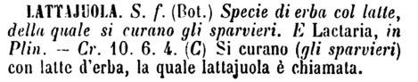 lattajuola