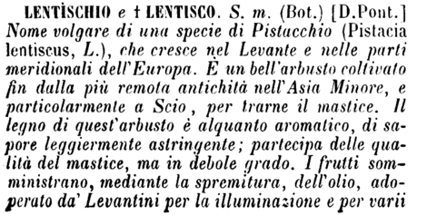 lentischio