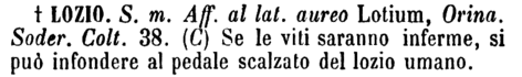 lozio