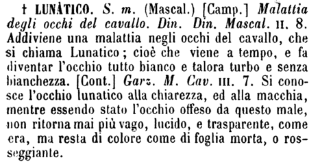 lunatico-67849