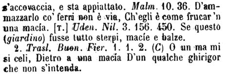 macia