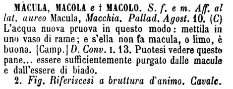 macula