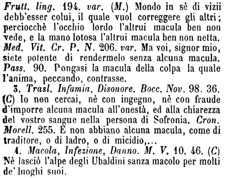 macula