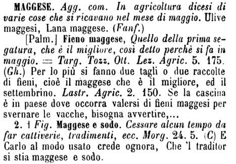 maggese-68381