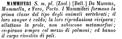 mammiferi