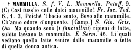 mammilla