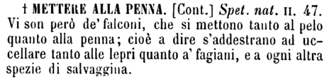 mettere-alla-penna