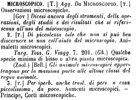 microscopico