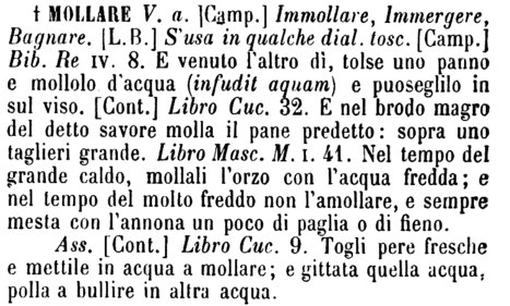 mollare-73048