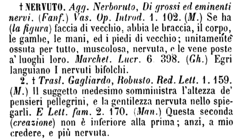 nervuto