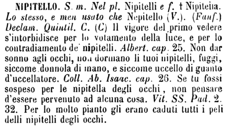 nipitello