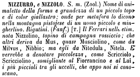 nizzurro