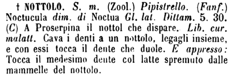 nottolo
