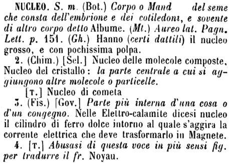 nucleo