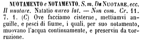 nuotamento