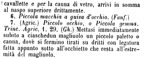 occhietto