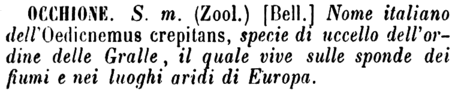 occhione-76226