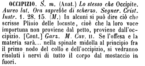 occipizio