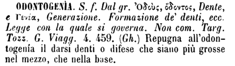 odontogenia