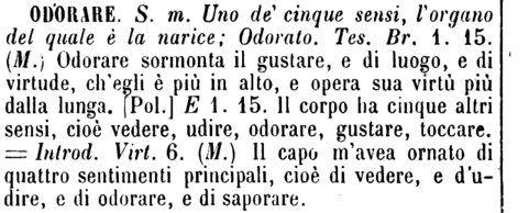 odorare-76361