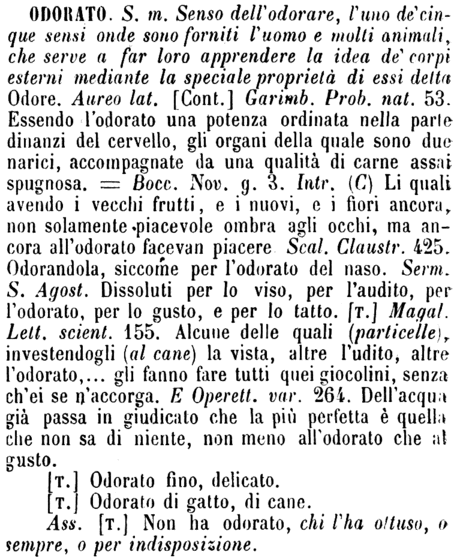 odorato-76365