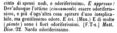 odoriferissimo