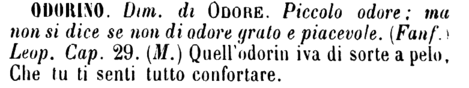 odorino